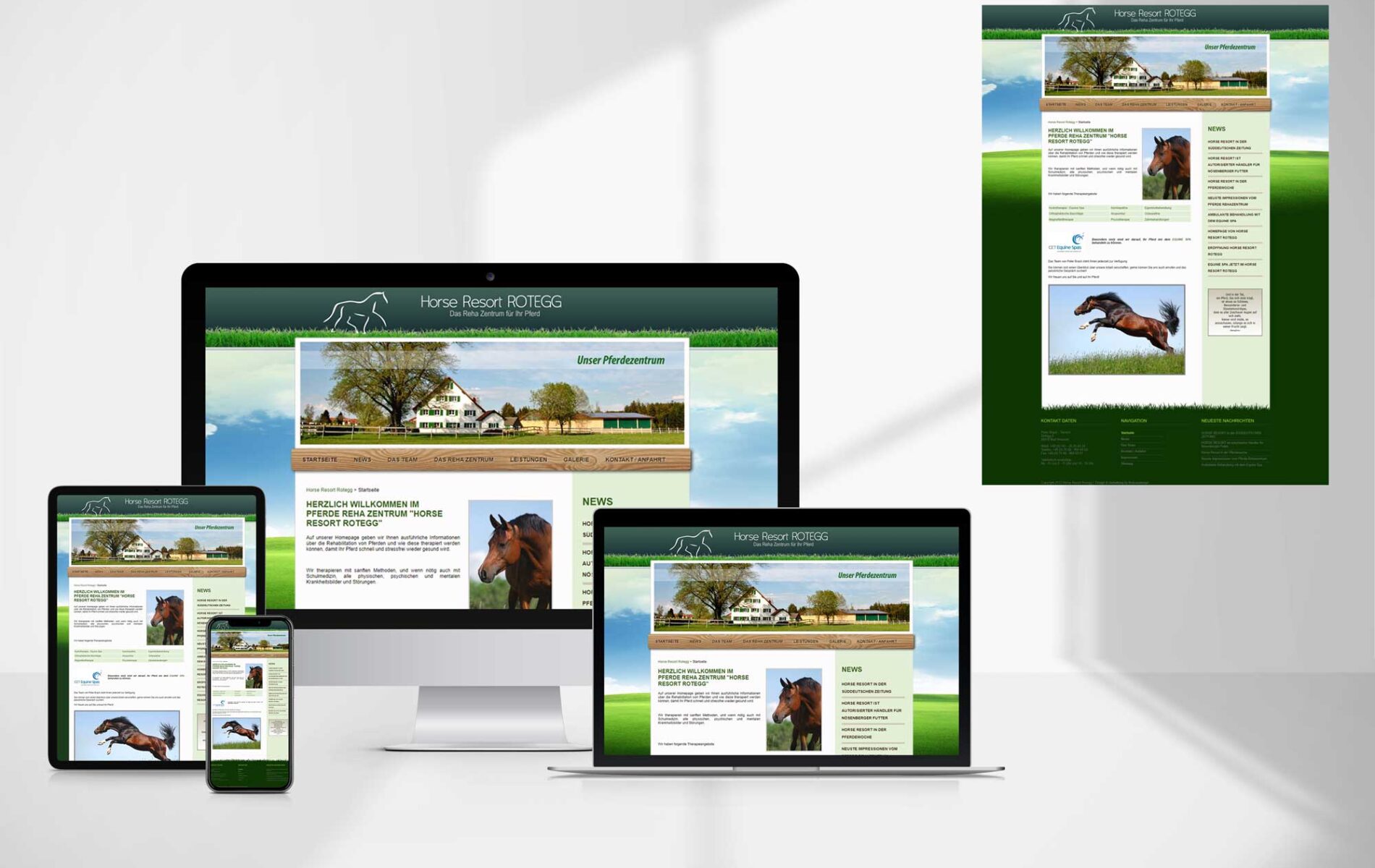 portfolio